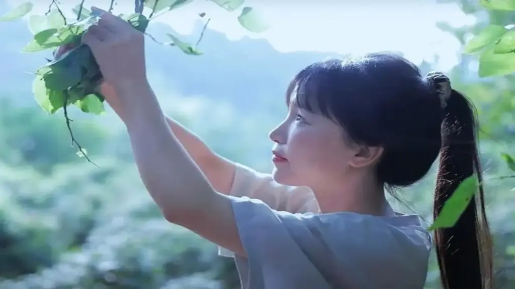 Vợ tôi u mê trào lưu "bỏ phố về quê", tôi lo lắng cho tương lai của các con